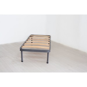 Rete Singola PEGASUS